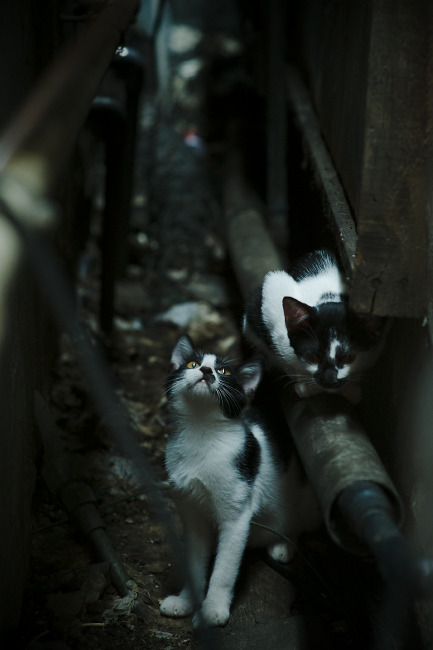 转会市场:今年最大“黑马”签约引热议,转会价格排名