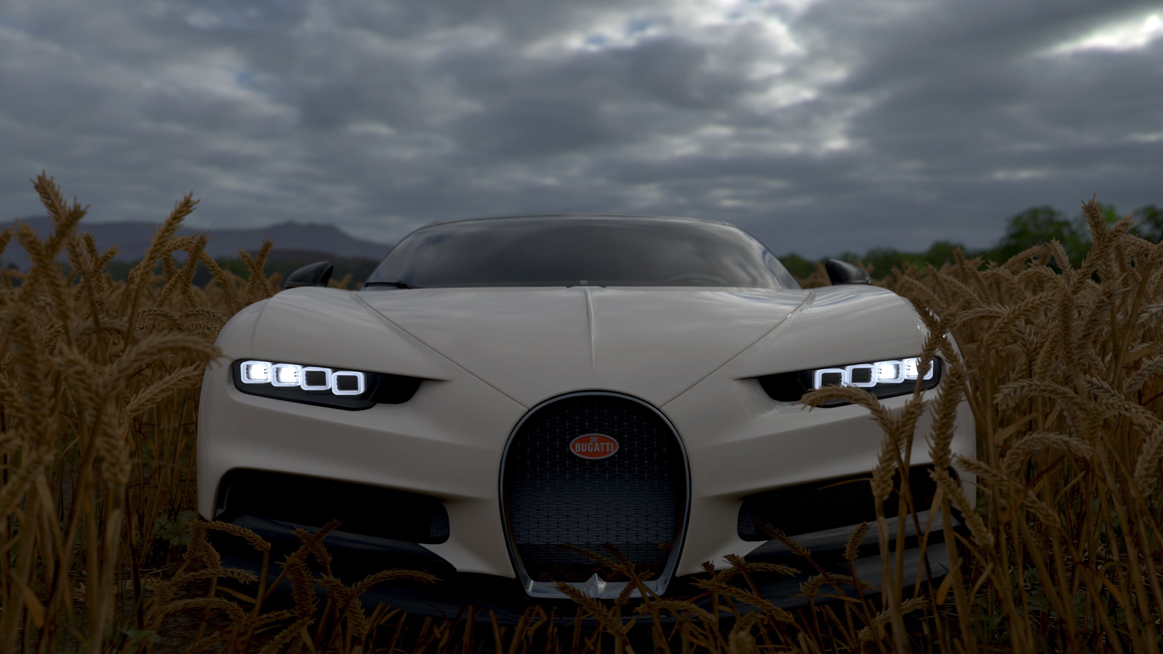 阿根廷足协庆祝夺冠盛况空前,阿根廷足球大赛成绩