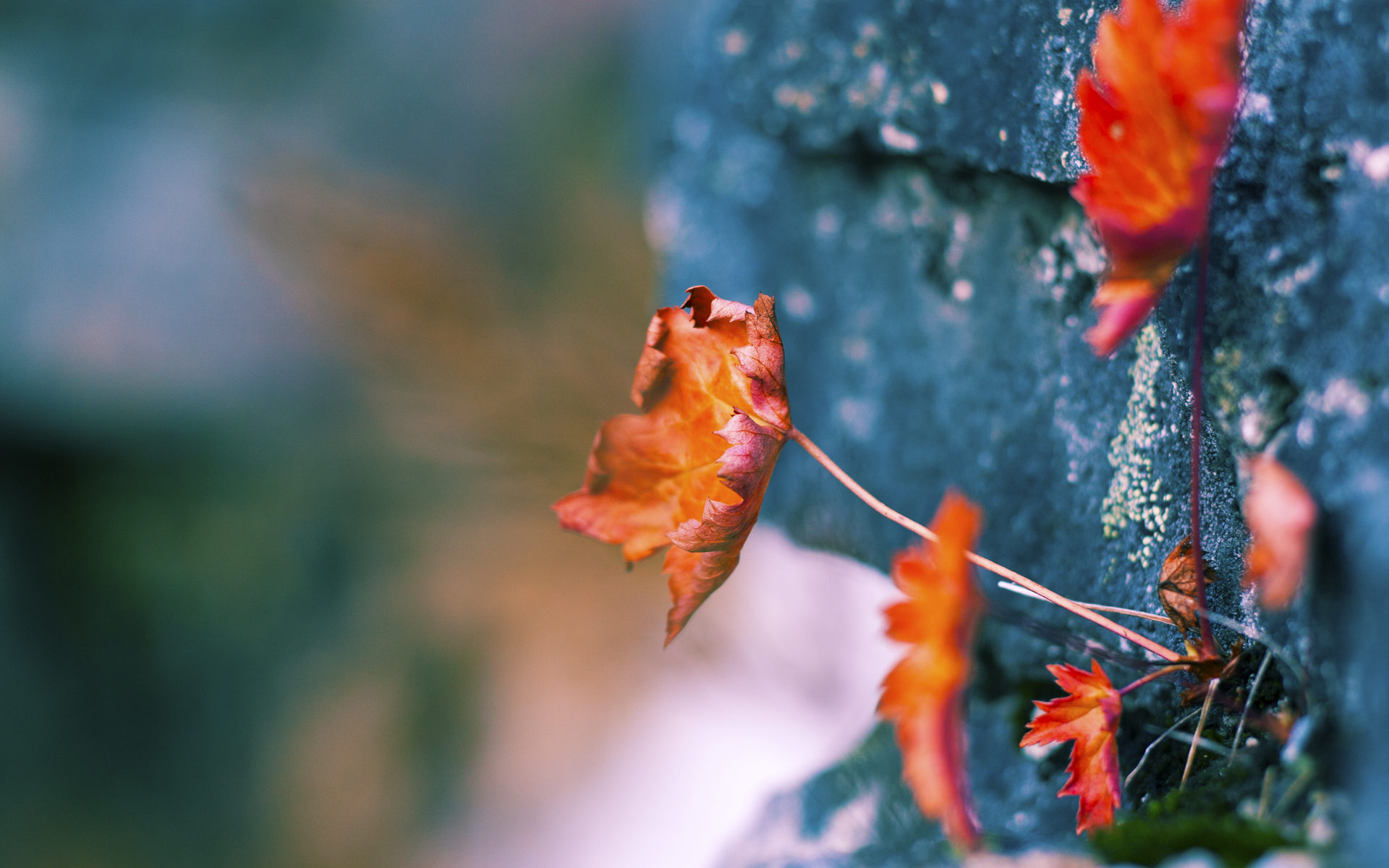 kaiyun体育综合-青训场馆配备先进设备，打造智慧体育青训新标杆，青训中心