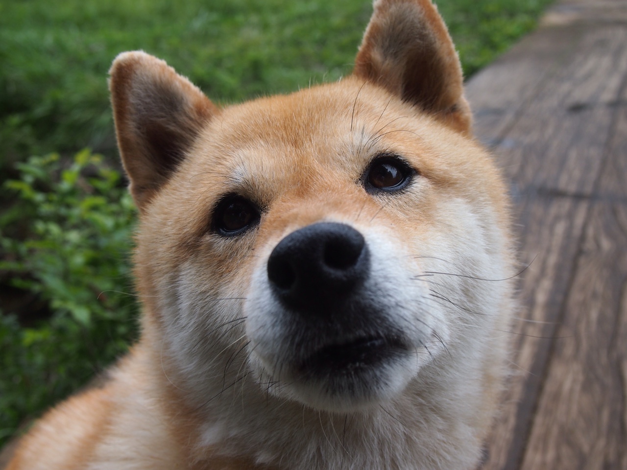 塞内加尔男足在巴黎奥运会比赛中以2-0战胜新西兰,塞内加尔男篮