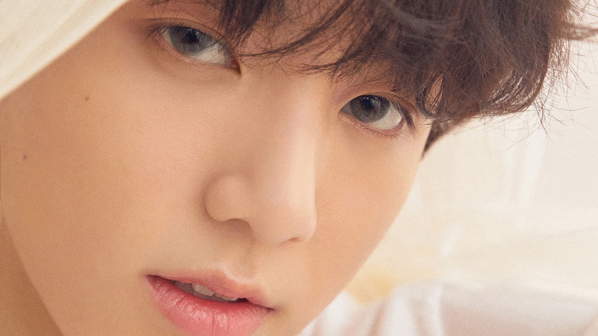 kaiyun开云·官方网站-日本马术协会出版“Sinjska Alka”历史专著，记录赛事发展历程。