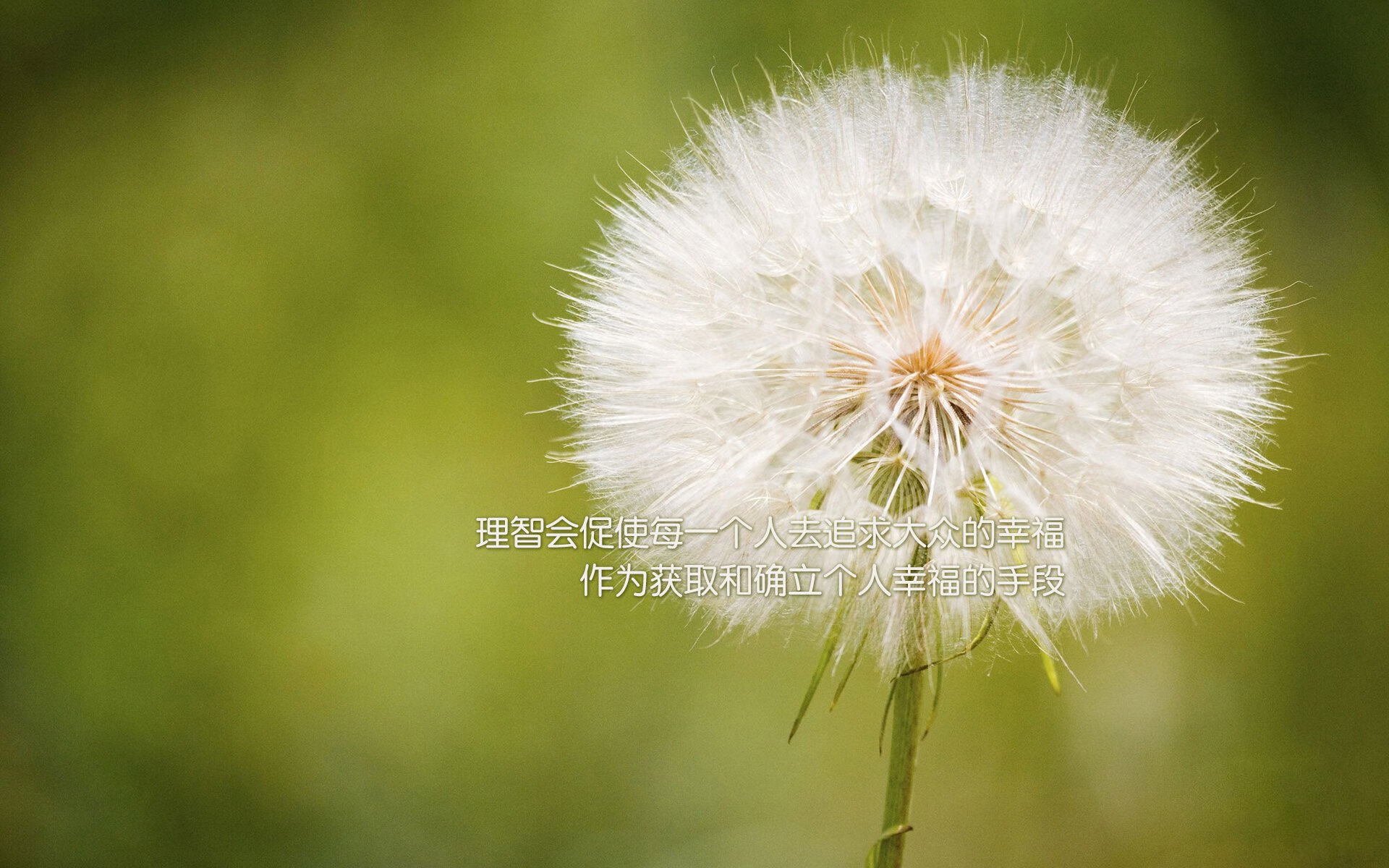 开云官方网页登录-球员比赛数据是否应与薪资直接挂钩，球员比赛数据是否应与薪资直接挂钩