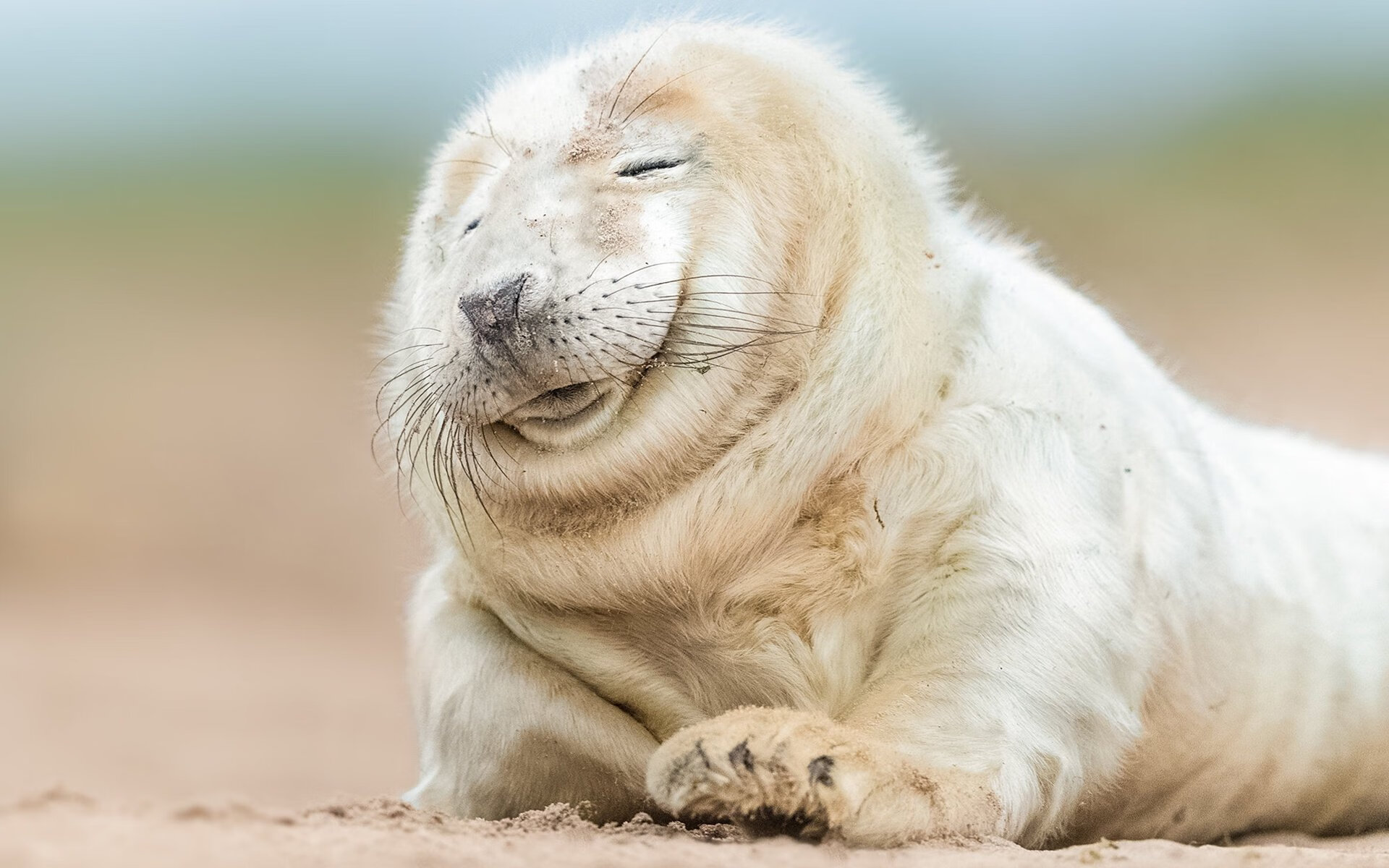 阿森纳在转会市场上引进经验丰富的中场球员,阿森纳引援中场