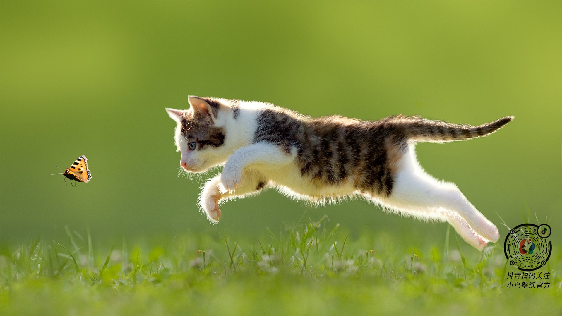 篮球运动员竞技心理韧性培养机制研究,篮球心理技能训练计划