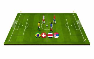 开云官网APP下载-青少年体育运动安全保障体系构建与应用研究，青少年体育工作