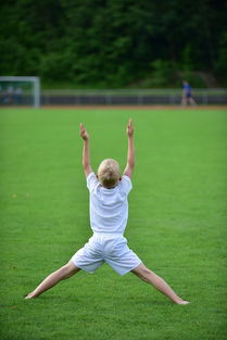 开云体育-高校体育专业课程体系动态调整研究，全国普通高校体育教育专业课程方案