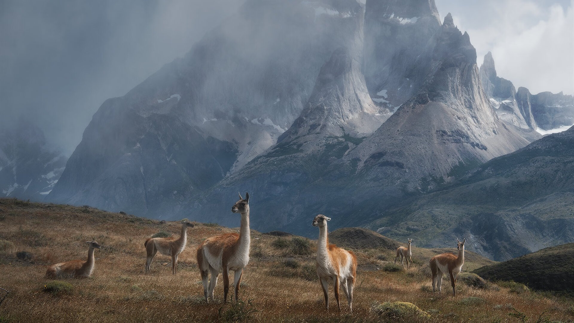 kaiyun中国官方网站-中超联赛国足逆袭 技战术表现令人满意，国足踢中超能第几
