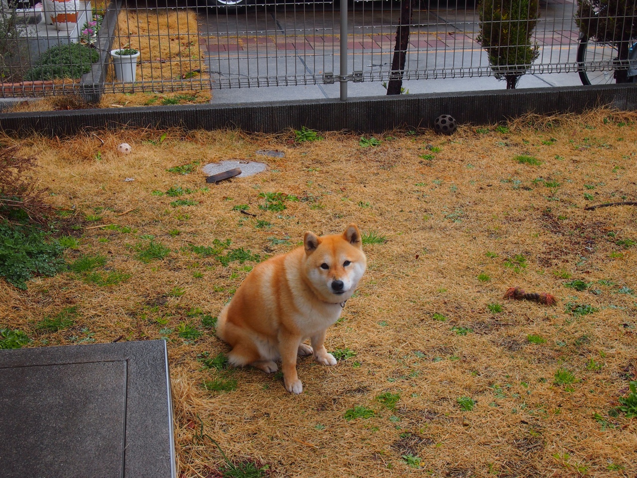 kaiyun开云·官方网站-全国跳水精英赛小将频出佳绩，2021全国跳水锦标赛视频