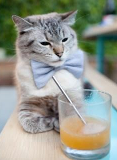 足球训练加入防摔保护技能教学内容,足球运动防护