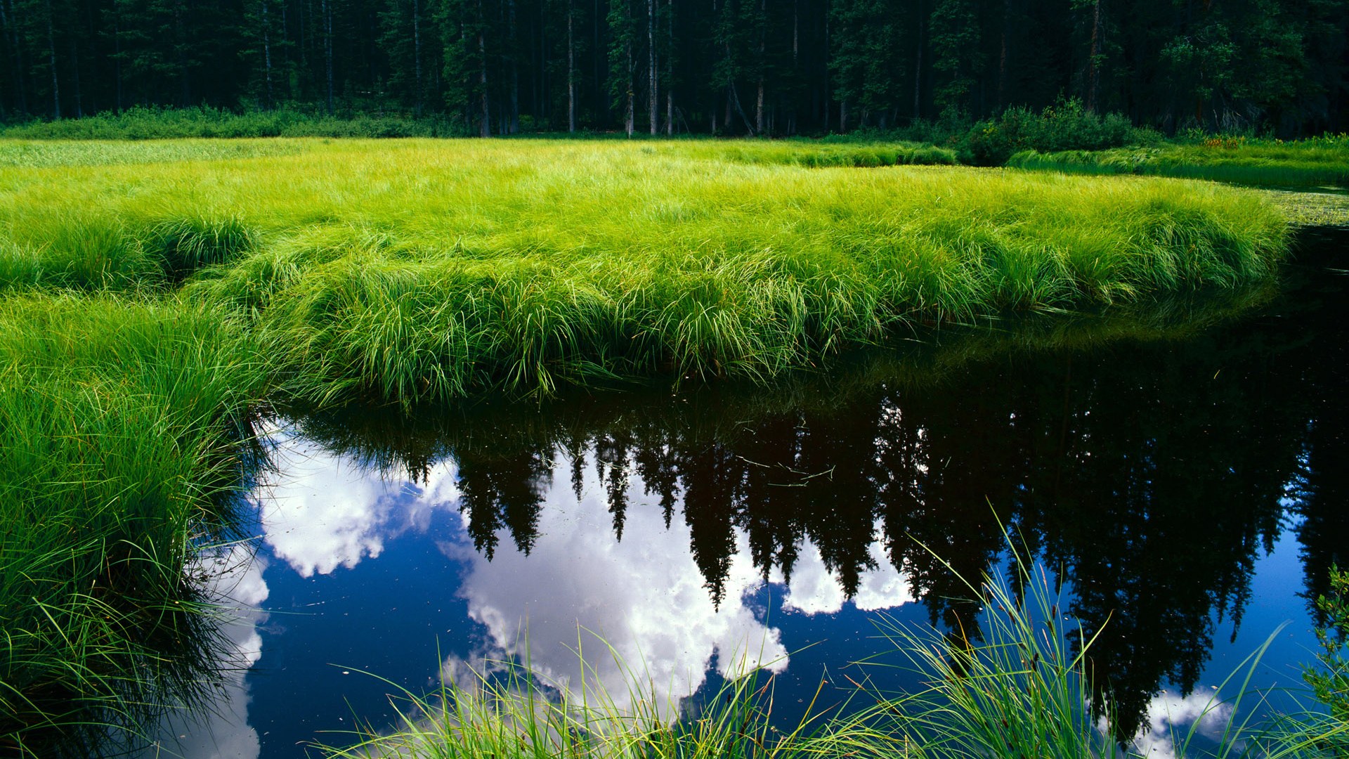 KAIYUN 中国大陆-“安赫尔·巴尔博萨的精准配合与战术执行，带领美洲狮队实现全球崛起”