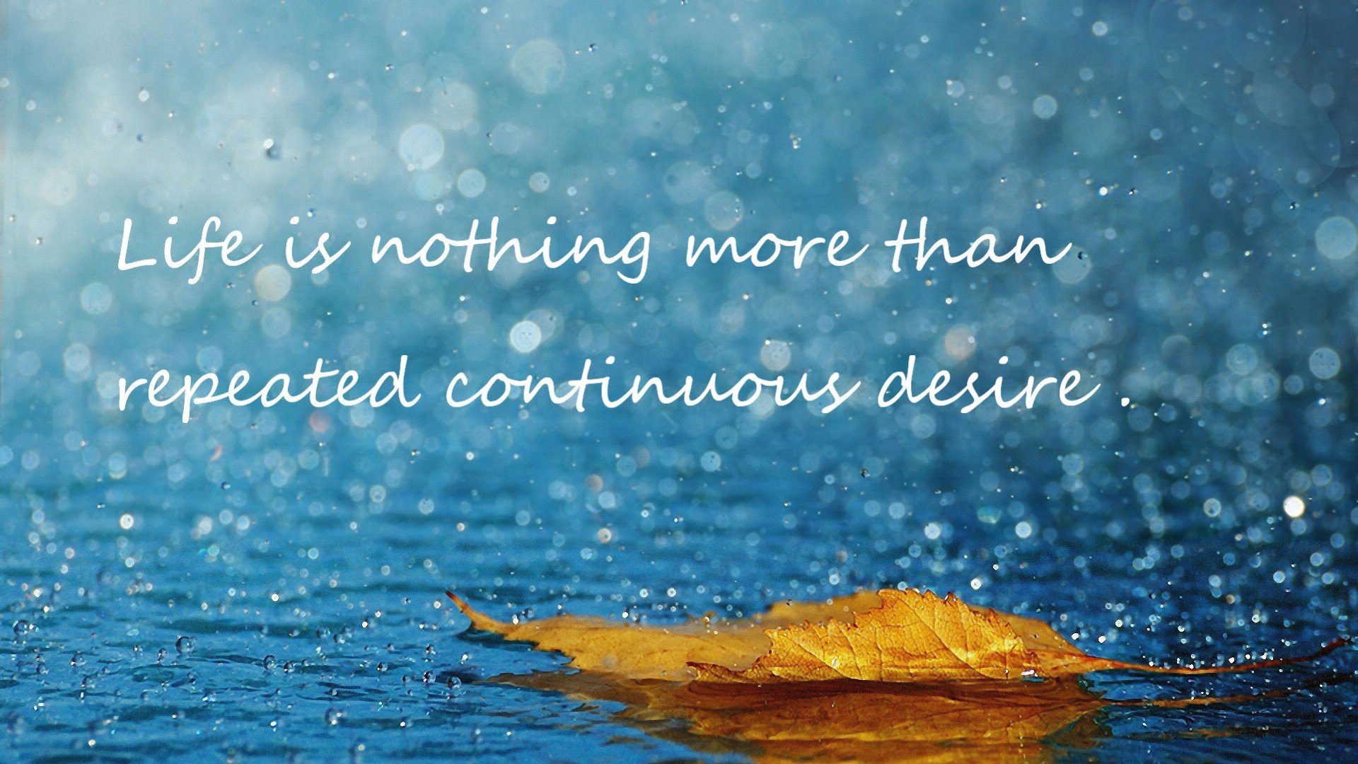 kaiyun体育综合-万乐天完美入水赢得喝彩，万乐游乐