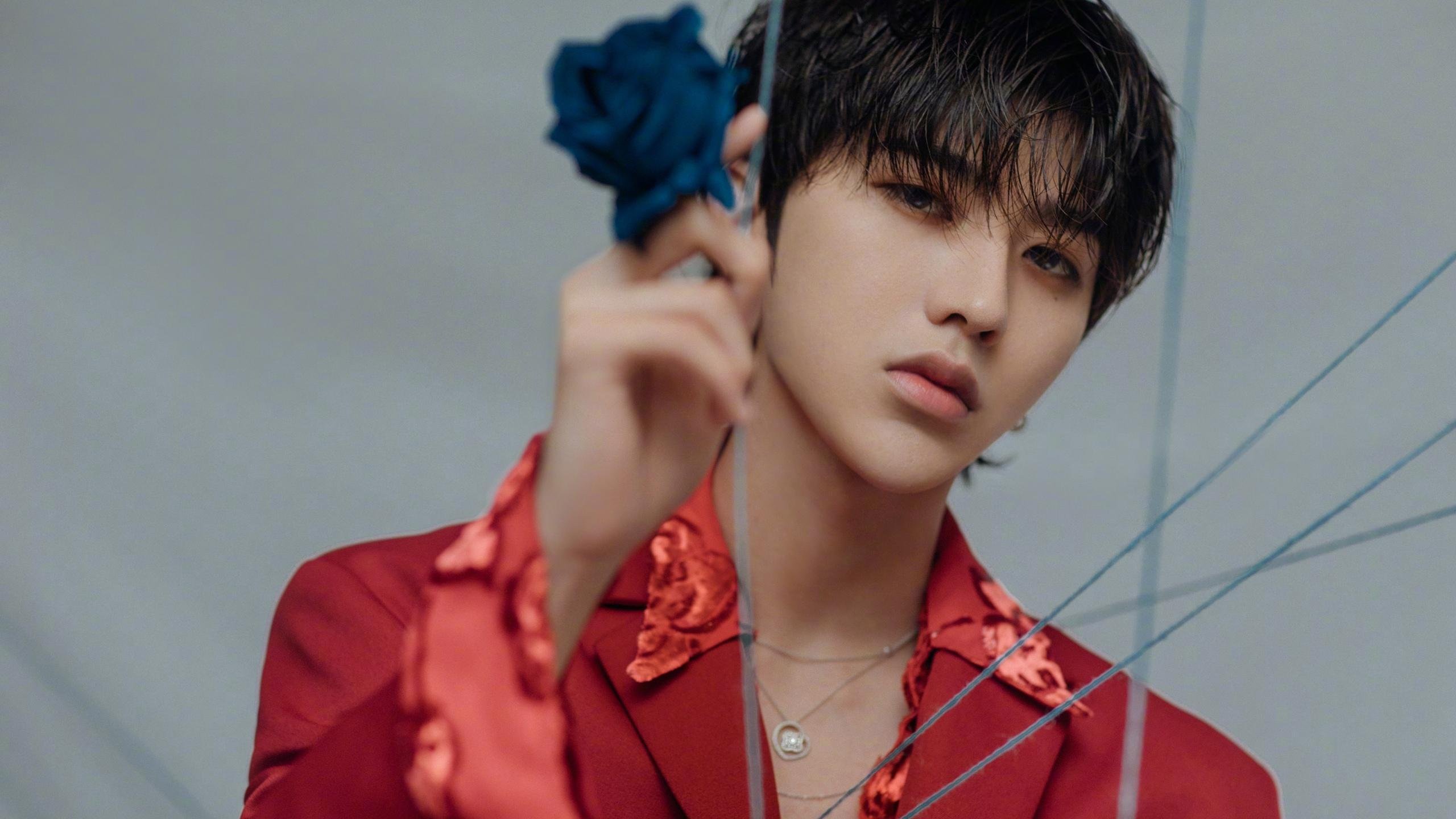 哈伦展现极致爆发力与稳定性，什么叫哈伦