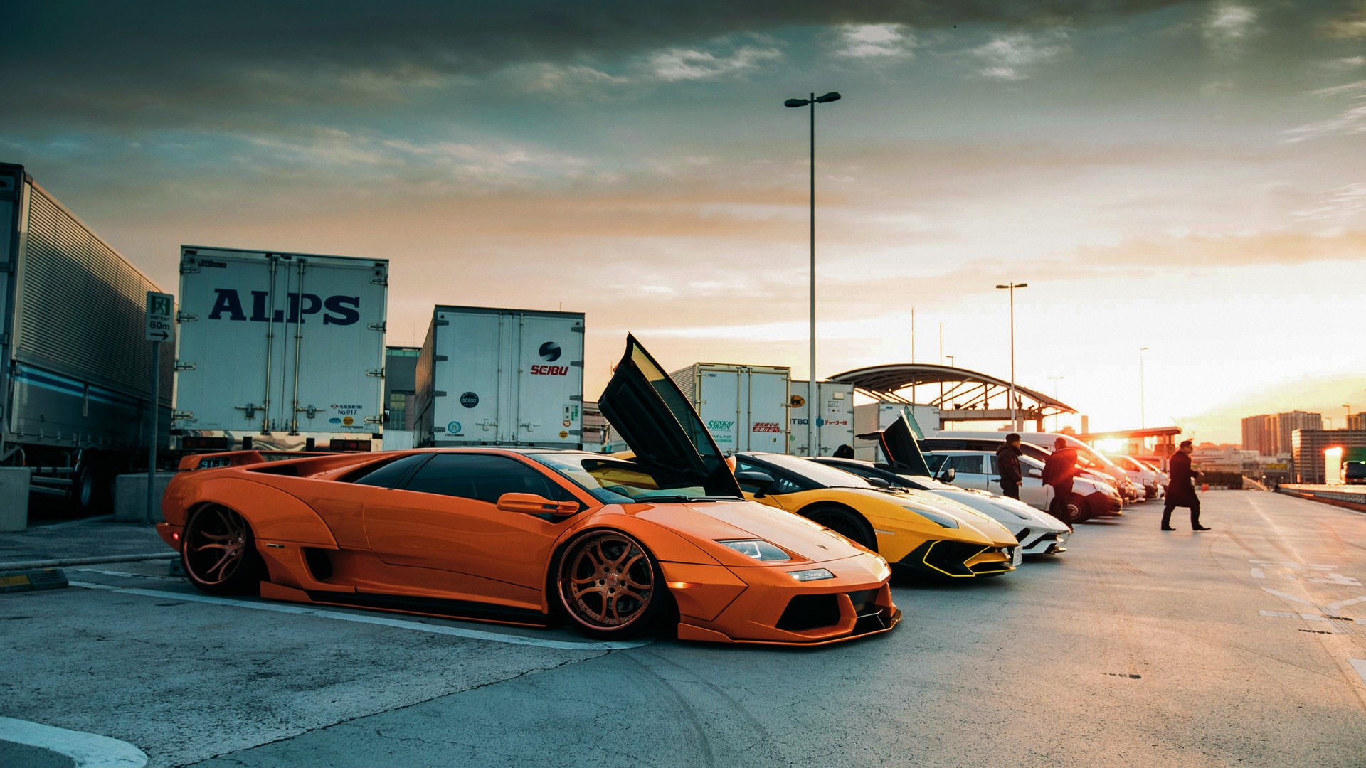 张伟丽接受康复训练备战新一轮挑战,张伟丽训练照片