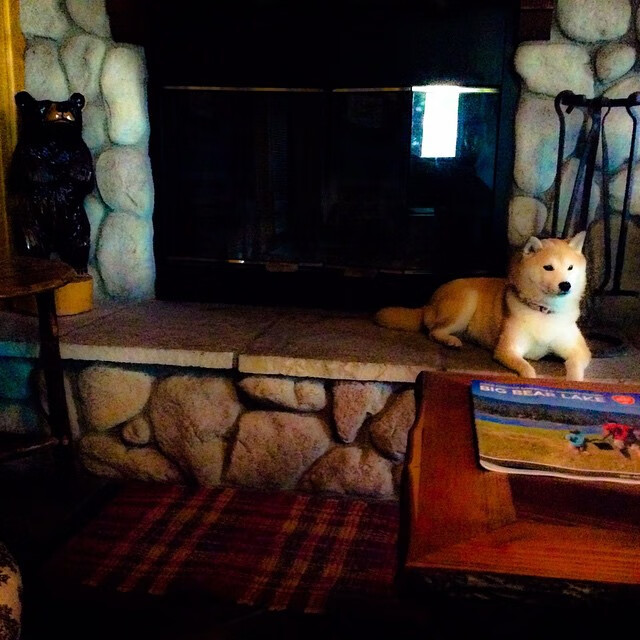 开云官方-技术雷达图显示动作一致性增强，雷达动态范围是什么意思