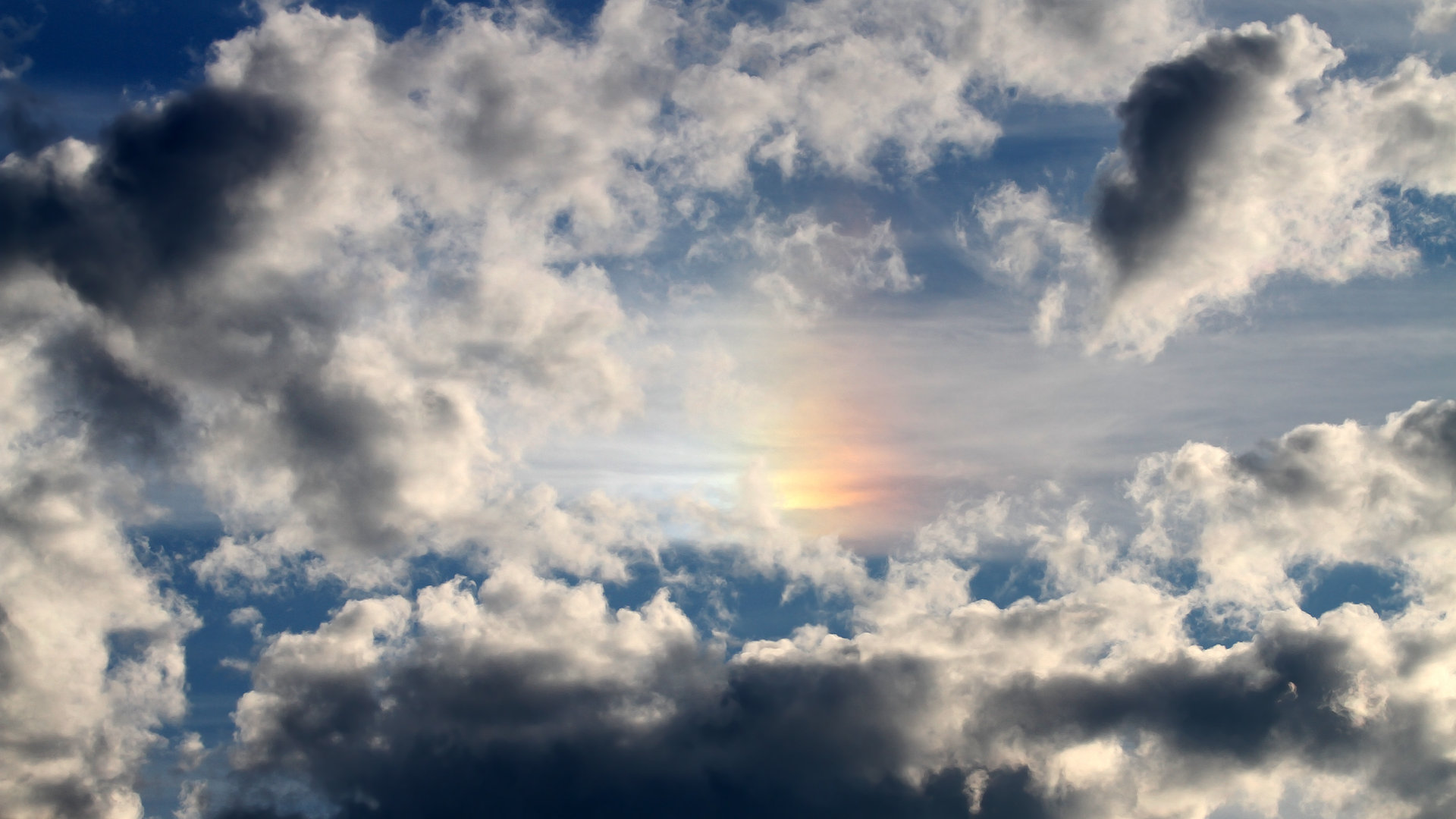 新西兰女子橄榄球实现自我超越,能否迎来新一轮突破?,新西兰国家女子篮球