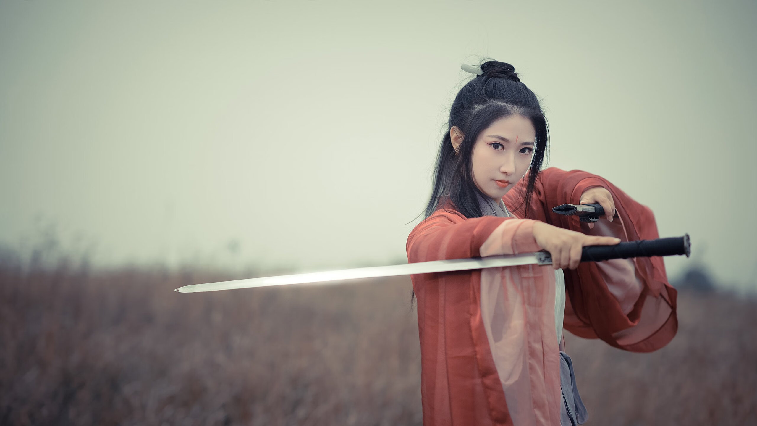 欧洲杯战术大师:变阵巧取反败为胜,欧洲杯揭幕战定律