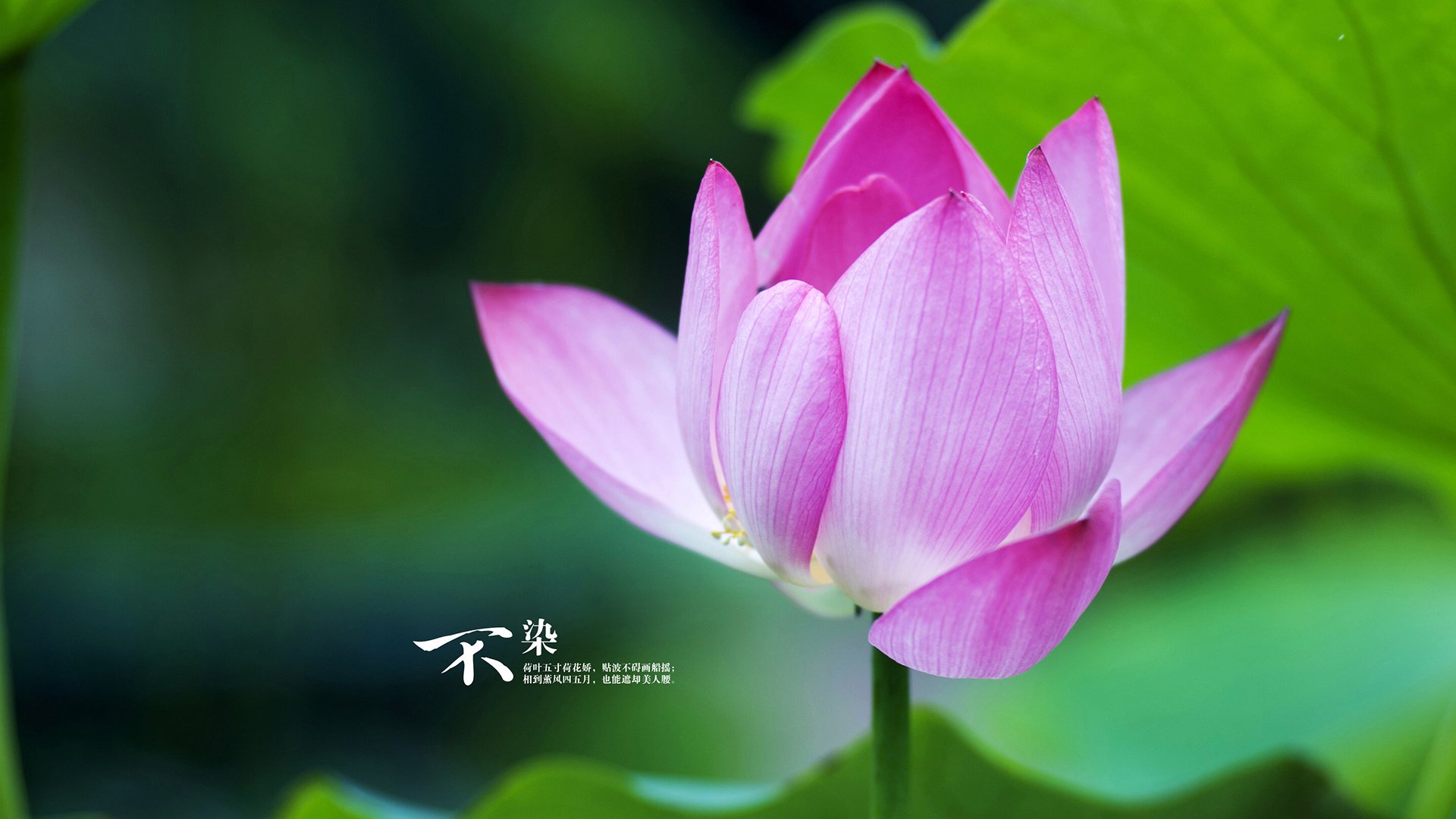 开云·Kaiyun网页版-欧洲杯逆转王：战术调整逆转命运！，欧洲杯回传失误