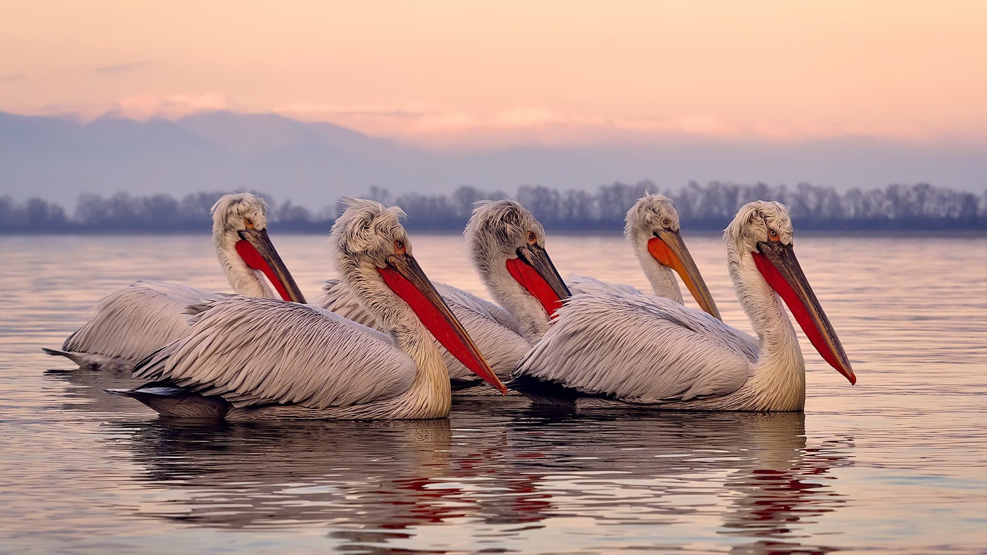 足球赛事裁判使用可穿戴设备进行监测,足球比赛裁判用具